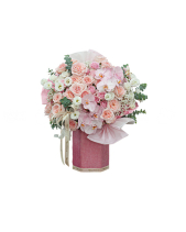 Lightly 2 - belovedbeyond.com