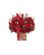 Ước Mơ Vươn Xa - belovedbeyond.com