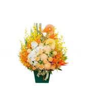 Color Life 2 - belovedbeyond.com