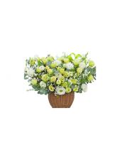 Giỏ Cát Tường Xanh - belovedbeyond.com