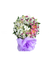 Vô Thường - belovedbeyond.com