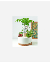 Strong And Courage - belovedbeyond.com