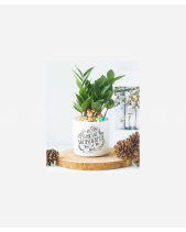 Kim Tiền Giáng Sinh - belovedbeyond.com