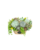 Hoa Sen Đá 7 - belovedbeyond.com