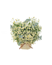 Nụ Cười - belovedbeyond.com