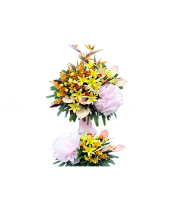 Phát Đạt - belovedbeyond.com