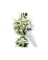 Ký Ức - belovedbeyond.com