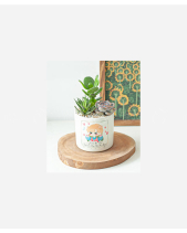 Bắt Đền Đi - belovedbeyond.com