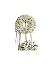 Kiếp Vô Thường - belovedbeyond.com