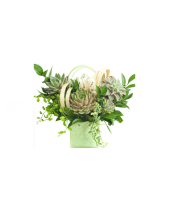 Red Perfection - belovedbeyond.com