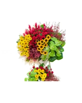 Nỗ Lực Tiến Bước - belovedbeyond.com