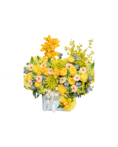 New Sun - belovedbeyond.com