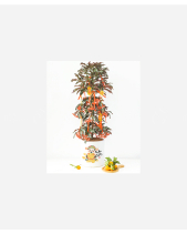 Kim Ngân Lượng Trụ 22 - belovedbeyond.com