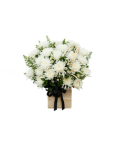 Kỉ Niệm - belovedbeyond.com