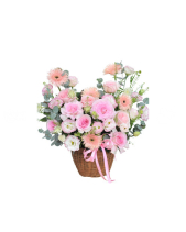 Blush Harmony - belovedbeyond.com