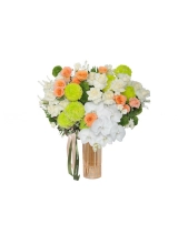 Fresh Harmony - belovedbeyond.com