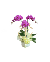 Good Way - belovedbeyond.com