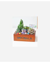 An Yên - belovedbeyond.com
