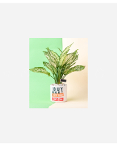 Duy Nhất - belovedbeyond.com