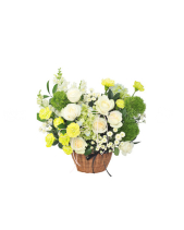 Xuân An Khang - belovedbeyond.com