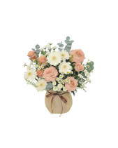 Tinh Khôi 2 - belovedbeyond.com