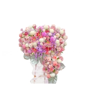 Nỗ Lực Vươn Xa - belovedbeyond.com