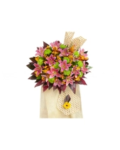 Sự Khởi Đầu - belovedbeyond.com