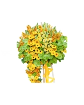Khởi Đầu Thuận Lợi - belovedbeyond.com