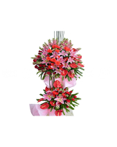 Đỉnh Danh Vọng - belovedbeyond.com