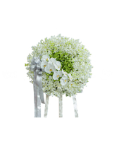 Khoảng Lặng - belovedbeyond.com