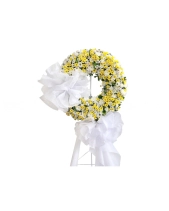 Dòng Kí Ức - belovedbeyond.com