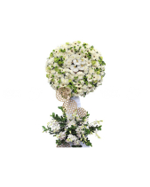Yên Nghỉ - belovedbeyond.com