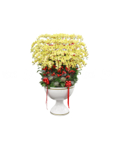 Như Ý Khải Hoàn - belovedbeyond.com