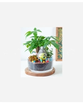 Tiểu Cảnh Ly Thủy Tinh 1 - belovedbeyond.com