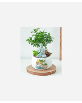 Nature And Life - belovedbeyond.com