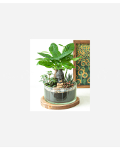 Thần Tài Gõ Cửa - belovedbeyond.com