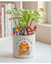 The Cat - belovedbeyond.com