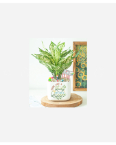 Happ Women's Day 1 - belovedbeyond.com