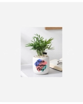 Will Be Okay - belovedbeyond.com