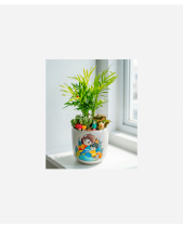 Nhà Là Nơi Có Mami - belovedbeyond.com