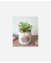 Là Để Yêu Thương - belovedbeyond.com
