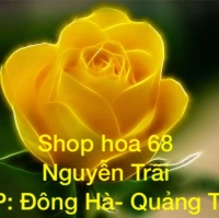Hoa 68 Nguyễn Trãi