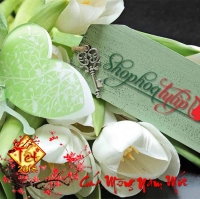 Shop Hoa Tulip