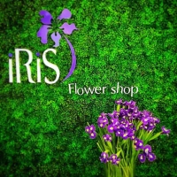IRIS FLOWER SHOP