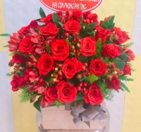 Hoa tươi Hoàng Gia Hoa tươi Hoàng Gia