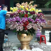 Hồ Điệp Đà Lạt Mạnh Dũng Hồ Điệp Đà Lạt Mạnh Dũng