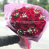 Rose Flower Rose Flower