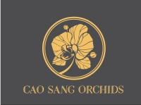 Lan Hồ Điệp Cao Sang