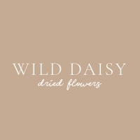 Wild Daisy  - Dried Flowers 