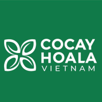 Cỏ Cây Hoa Lá - belovedbeyond.com